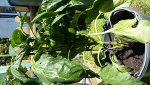 20170823_122904.jpg