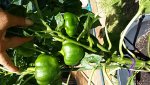 20170823_122958.jpg