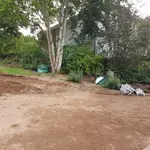 20170824_080543.jpg