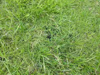 IMG_20170823_191042.webp