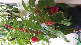 20170824_103946.webp