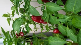 20170824_104010.jpg