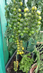 20170825_145002-1.webp