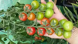 20170825_144715.webp