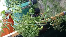 20170825_142010.webp