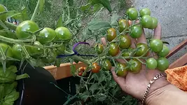 20170825_142030.jpg