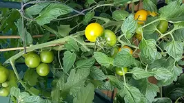 20170825_141454.webp