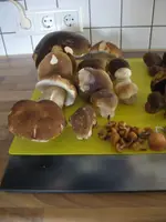 007_576x768.webp