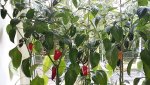 20170825_183457.jpg