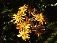 BILD8117.webp