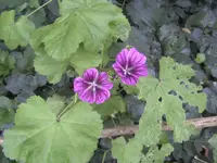 BILD8069.webp