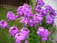 DSCI0657.webp