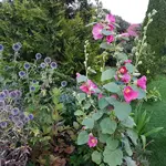 20170824_194252.webp