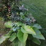 20170824_194437.jpg