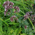 20170824_194701.webp