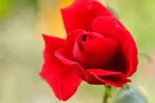 2017-08-24-2127.webp