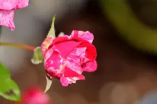 2017-08-24-2126.webp