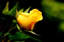 2017-08-24-2117.webp