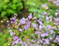 DSCF9900 (2).webp