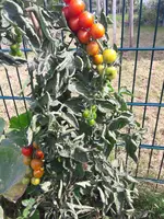 20170825_124356_resized.webp