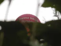 P1010799ballon.webp