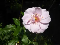 P1080069.webp