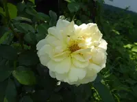 P1080124.webp