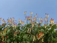 P1080130.webp