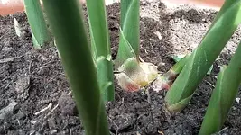 20170826_132419.webp