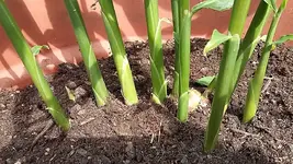 20170826_132406.jpg