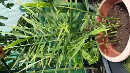 20170826_132356.webp