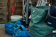 tabula rasa machen....alles verblühte raus_900.webp