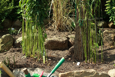 Hangbeet gelichtet_900.webp