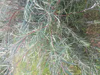 20170826_184909.webp