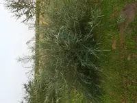 20170826_184900.webp