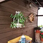 170826                  Deko von links.webp