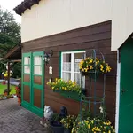 170826        Schuppen  diagonal.webp
