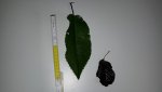 20170827_075916.jpg