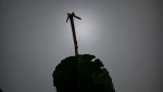 20170827_075934.jpg
