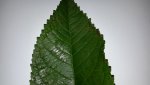 20170827_080648.jpg