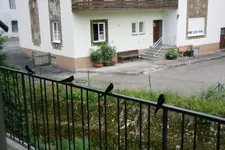 Schwalben0115.webp