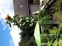 20170827_121157.webp