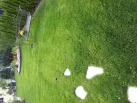 1503841741356-623856563.webp