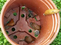 versammelte Mannschaft.webp