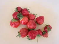 20170827_181523.webp