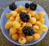 20170827_184113.jpg