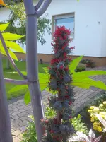 DSC04513.webp