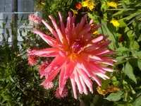 DSC04510.webp