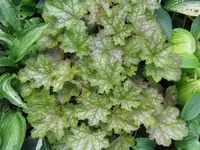 007_1024x768.webp