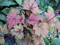 011_1024x768.webp